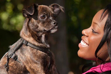 Veterinarian in Gurnee, IL - About Us